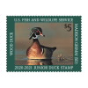 Wood Duck 2020-2021 Junior Duck Stamps