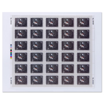 Hooded Mergansers 2021-2022 Junior Duck Stamps