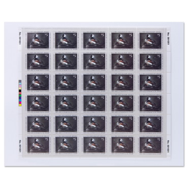 2021 - 2022 Jr Duck Stamp - Hooded Mergansers