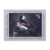 Junior Duck 2021-2022 Stamp, Hooded Mergansers image