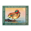 Green-Winged Teal 2022-2023 Junior Duck Stamps