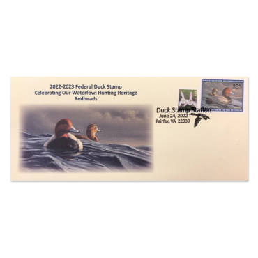 Redhead Duck 2022-2023 Heritage Cachet