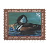 Hooded Merganser 2023-2024 Junior Duck Stamps