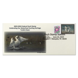 Tundra Swans 2023-2024 Heritage Cachet