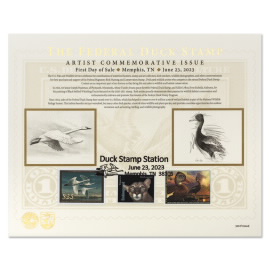 Tundra Swans 2023-2024 Commemorative Card