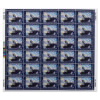 King Eider 2024-2025 Junior Duck Stamps