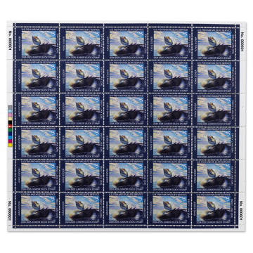 King Eider 2024-2025 Junior Duck Stamps