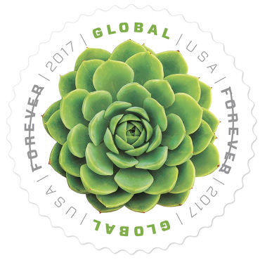 Green Succulent International Stamp | USPS.com
