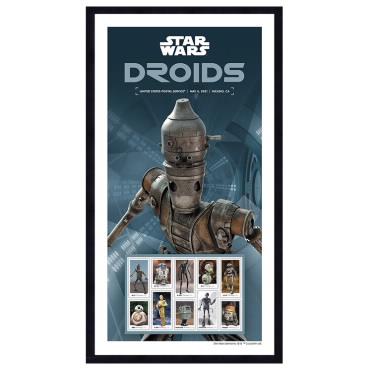 Star Wars™ Droids IG-11 Framed Stamps