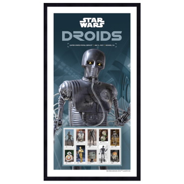 Star Wars™ Droids 2-1B Droid Framed Stamps