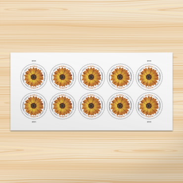 Global: African Daisy Stamps