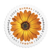 Global: African Daisy Stamps image