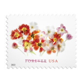 USPS Global Forever International Silver Bells Wreath Postage Stamps (10  Stamps in Total)