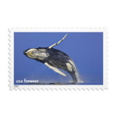 National Marine Sanctuaries Stamps image