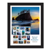 National Marine Sanctuaries Framed Stamps image