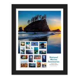 National Marine Sanctuaries Framed Stamps