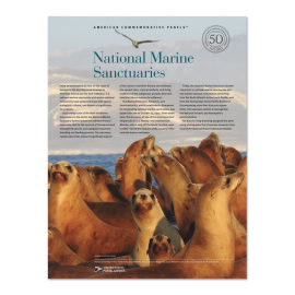 National Marine Sanctuaries American Commemorative Panel®