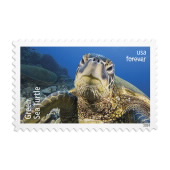 Protect Sea Turtles Stamps image