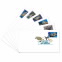 Protect Sea Turtles Digital Color Postmark