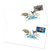 Protect Sea Turtles Digital Color Postmark image