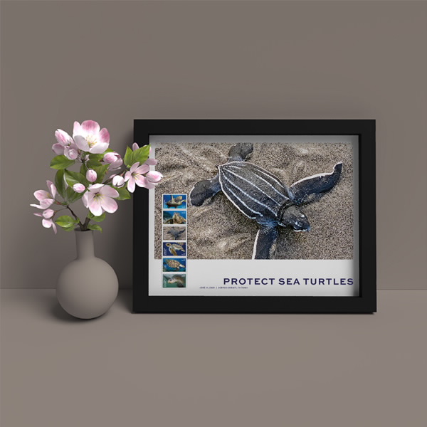 Protect Sea Turtles Framed Stamps, Leatherback
