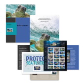 Protect Sea Turtles Stamp Portfolio image
