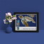 Protect Sea Turtles Framed Stamps, Loggerhead
