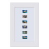 Protect Sea Turtles Matted Stamps