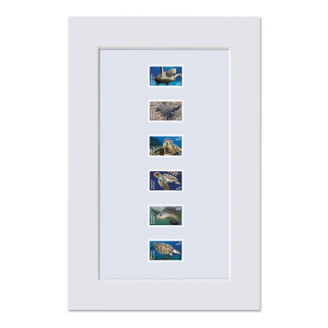 Protect Sea Turtles Matted Stamps