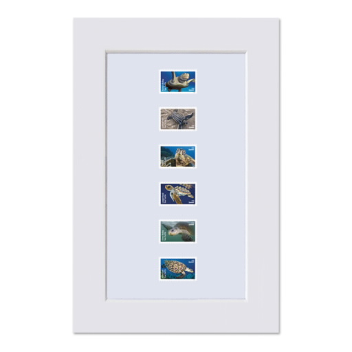 Protect Sea Turtles Matted Stamps