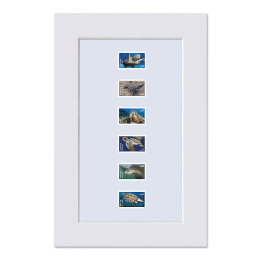 Protect Sea Turtles Matted Stamps