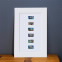 Protect Sea Turtles Matted Stamps