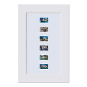 Protect Sea Turtles Matted Stamps image