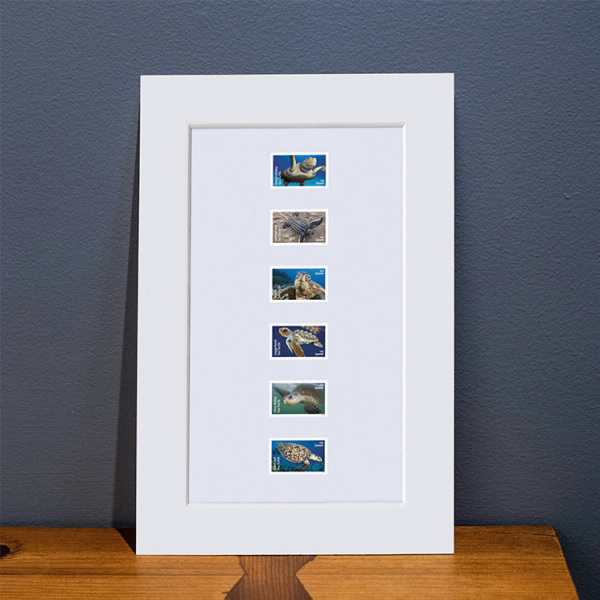 Protect Sea Turtles Matted Stamps