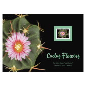 Cactus Flowers Small Pink with Red Flower Print image
