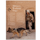 Military Working Dogs American Commemorative Panel image
