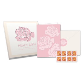 Peace Rose Notecards
