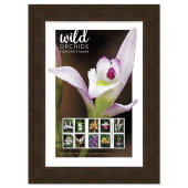 Wild Orchids Framed Stamps image
