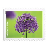 Garden Beauty Stamps image