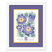 Mountain Flora Framed Stamps - Pasqueflower image