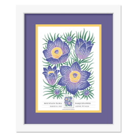 Mountain Flora Framed Stamps - Pasqueflower