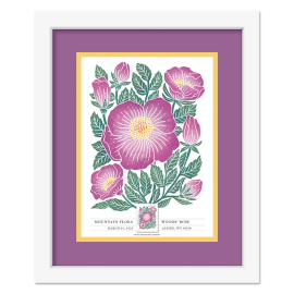 Mountain Flora Framed Stamps - Woods' Rose