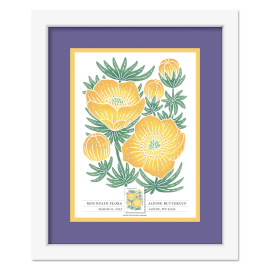 Mountain Flora Framed Stamps - Alpine Buttercup