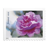 Snowy Beauty Stamps image