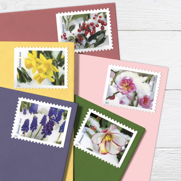 Snowy Beauty Stamps