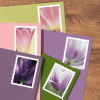 Tulip Blossoms Stamps