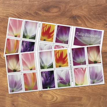 Tulip Blossoms Stamps