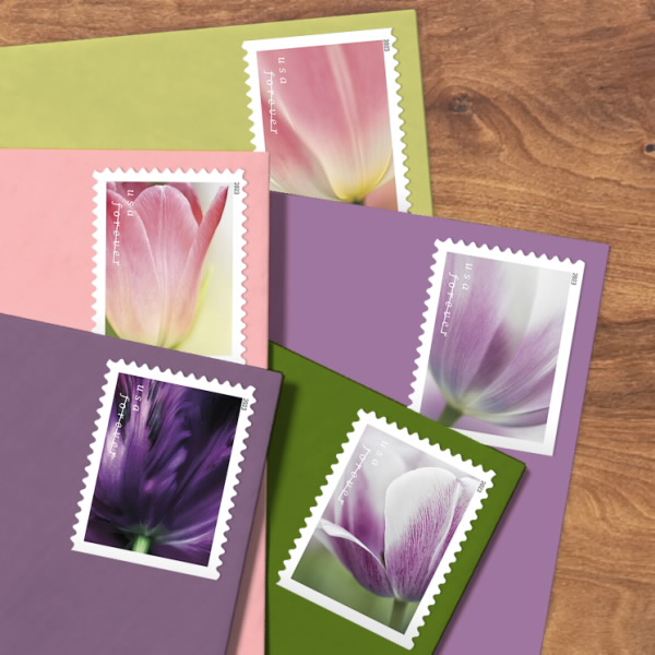 Tulip Blossoms Stamps