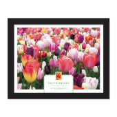 Tulip Blossoms Framed Stamps image