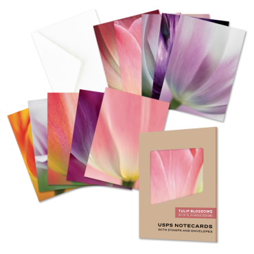 Stationery Cards  Tulip Blanche Collection